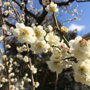 絶妙のタイミングで与えられた学びと気づき(1)