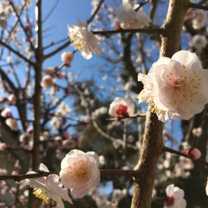 地震と停電での気づき(1)