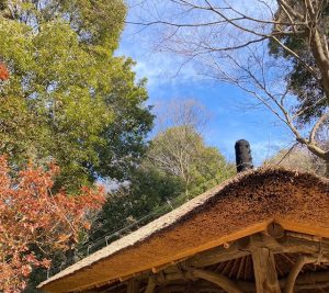 跡取りの話（２）